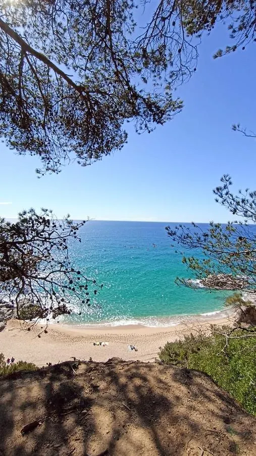 Daro Apartments Platja d'Aro 0*,
